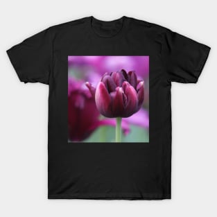 Black Hero Tulip T-Shirt